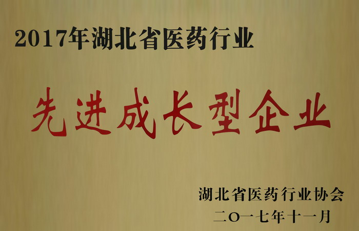 東信藥業(yè)榮獲“湖北省醫(yī)藥行業(yè)先進(jìn)成長(zhǎng)型企業(yè)”，“混合脂肪酸甘油酯...